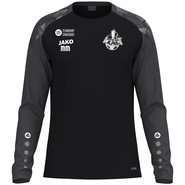 Longsleeve Sonic 