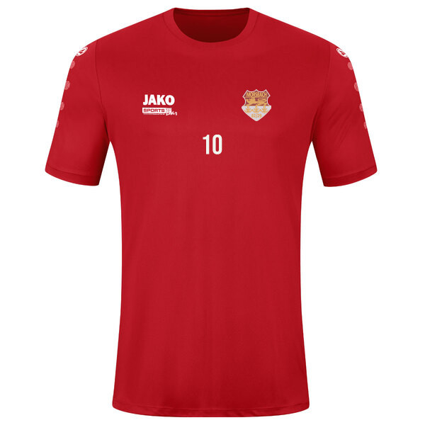 Trikot Team kurzarm 