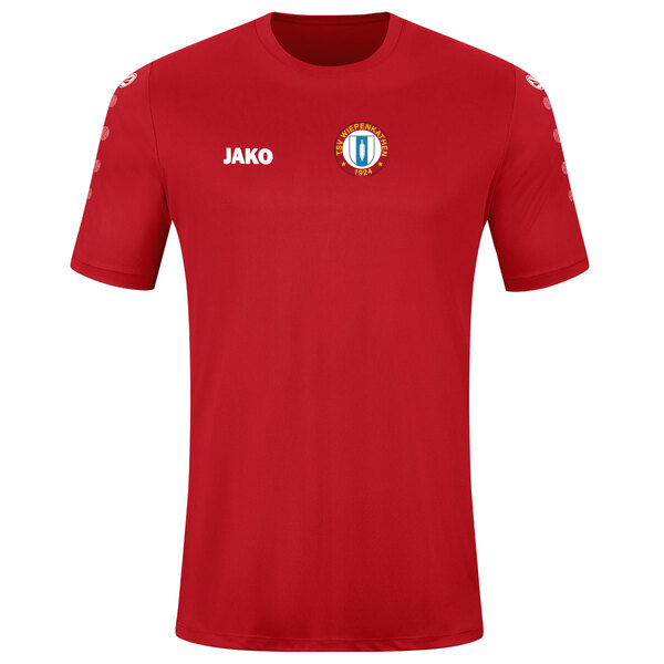 Trikot Team kurzarm 