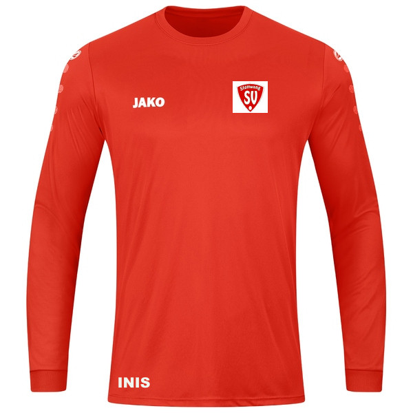 Trikot Team Langarm 