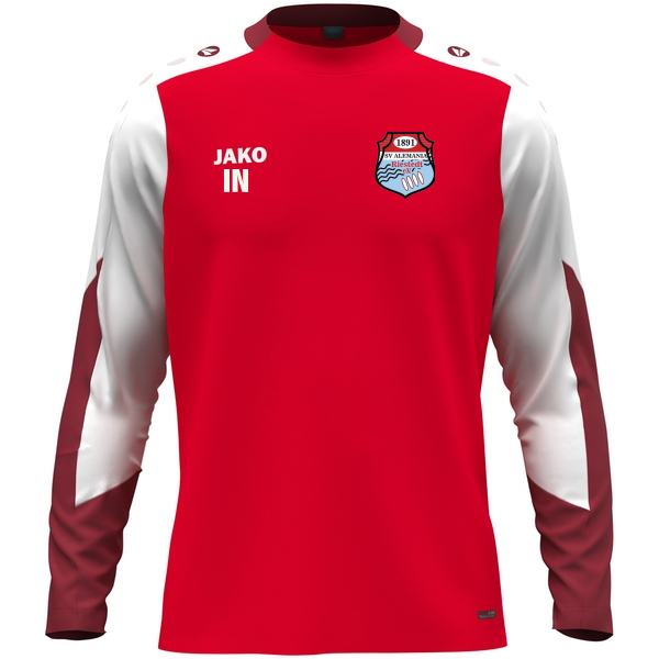 Longsleeve Dynamic 