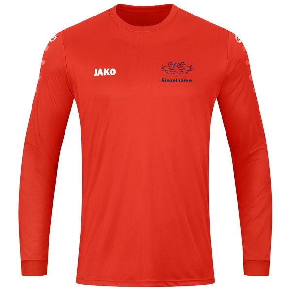 Trikot Team langarm 