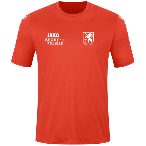 Trikot Team kurzarm 