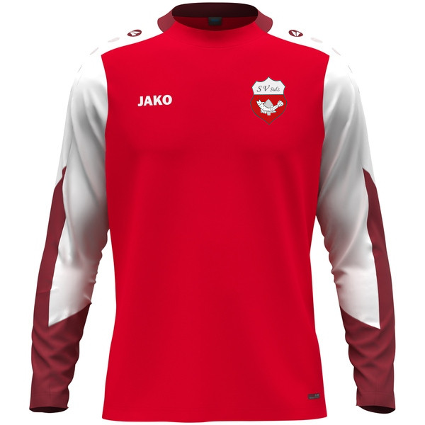 Longsleeve Dynamic 
