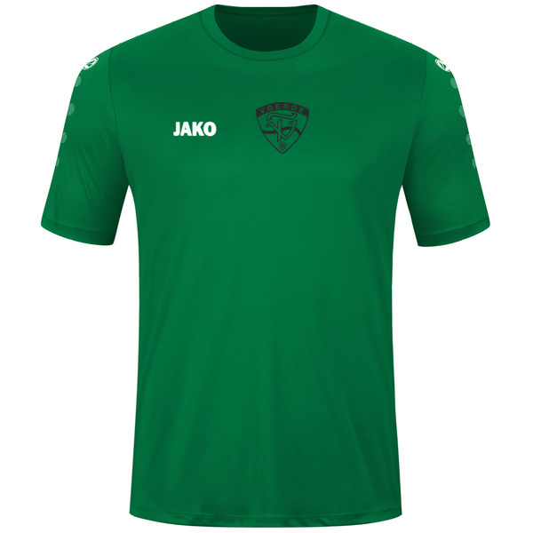 Trikot Team kurzarm 