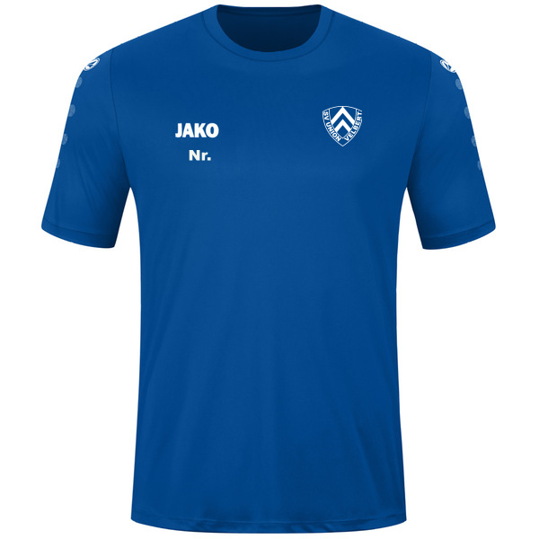 Trikot Team kurzarm 