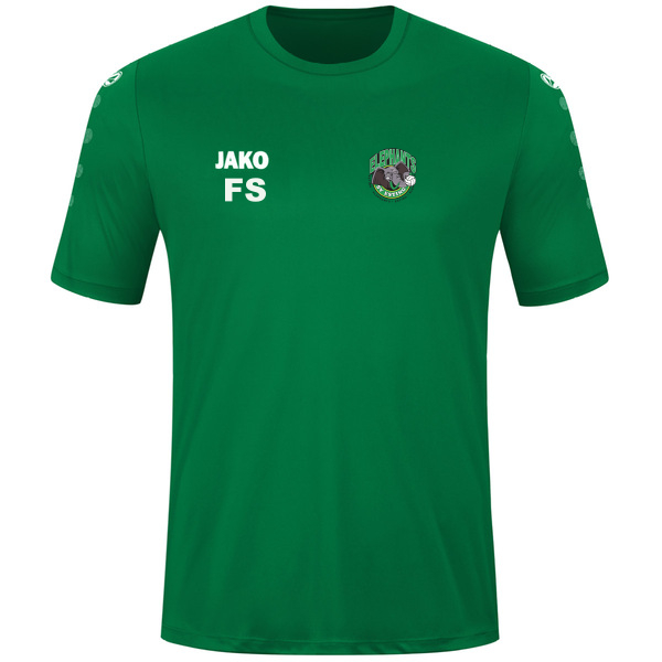 Trikot Team kurzarm 