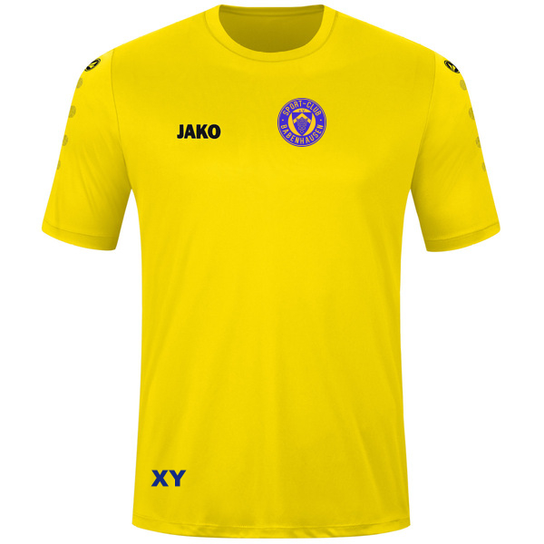 Trikot Team kurzarm 