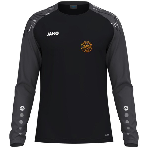 Longsleeve Sonic 
