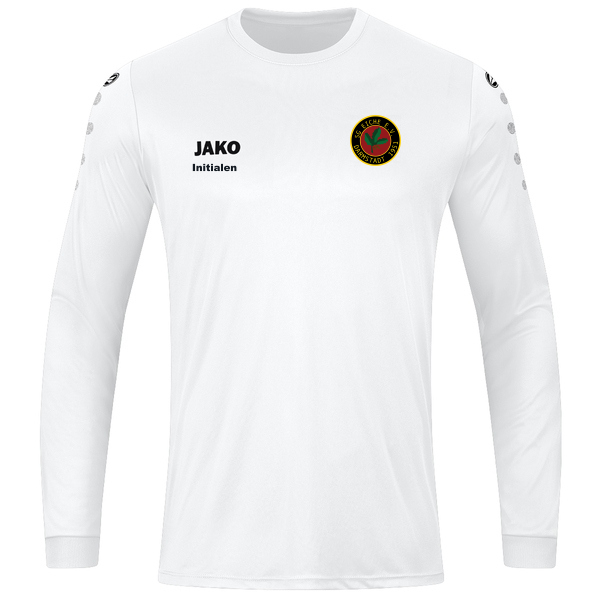 Trikot Team langarm 