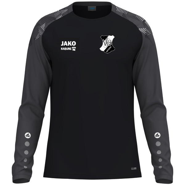 Longsleeve Sonic 