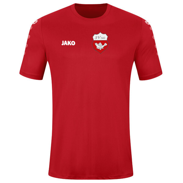 Trikot Team kurzarm 