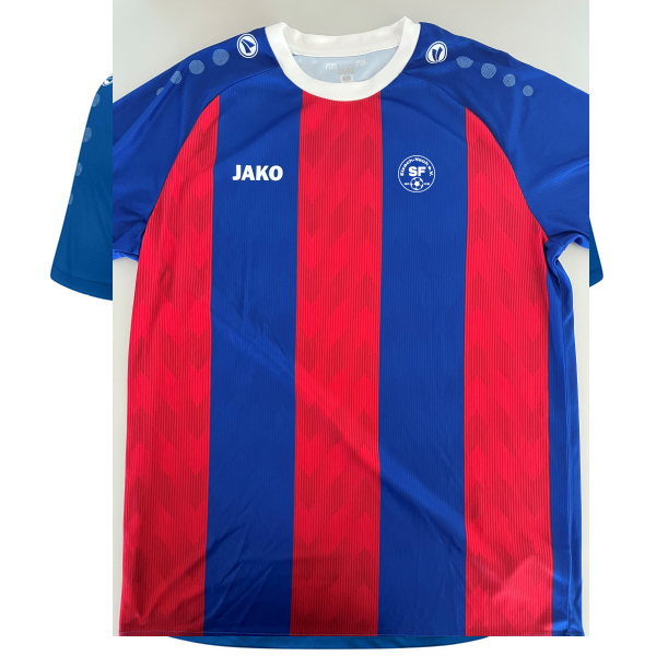 Trikot Team kurzarm 