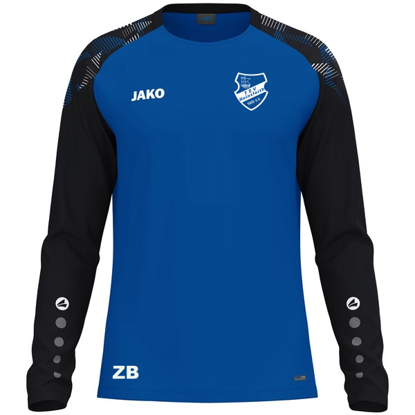 Longsleeve Sonic 