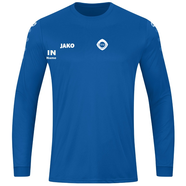 Trikot Team langarm 