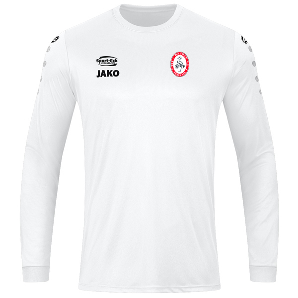 Trikot Team langarm 