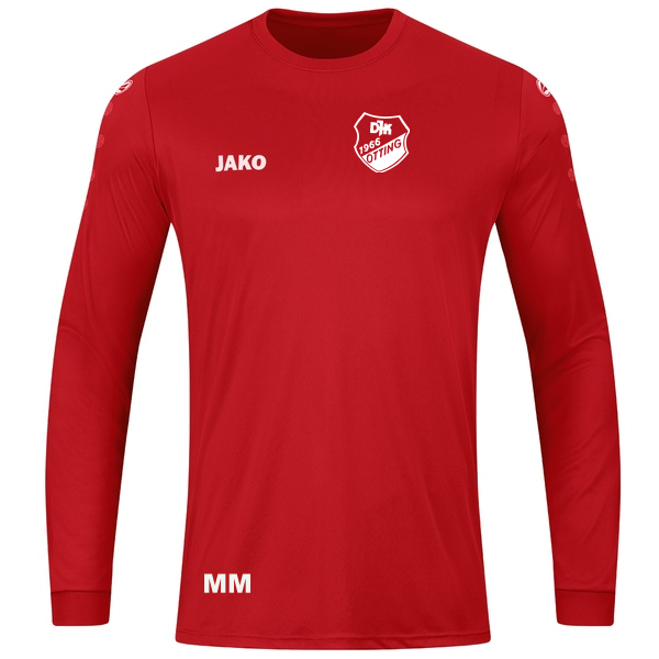 Trikot Team langarm 