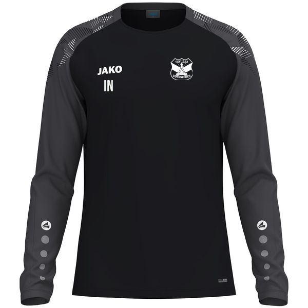 Longsleeve Sonic 