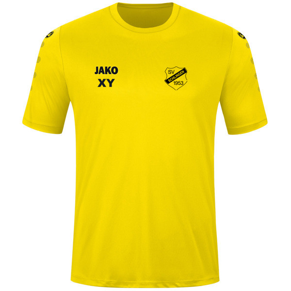 Trikot Team kurzarm 