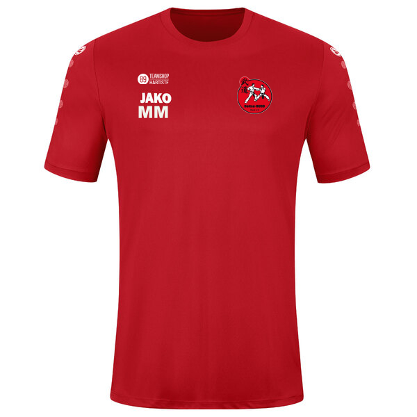 Trikot Team kurzarm 