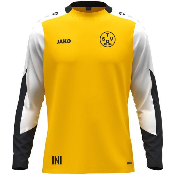 Longsleeve Dynamic 