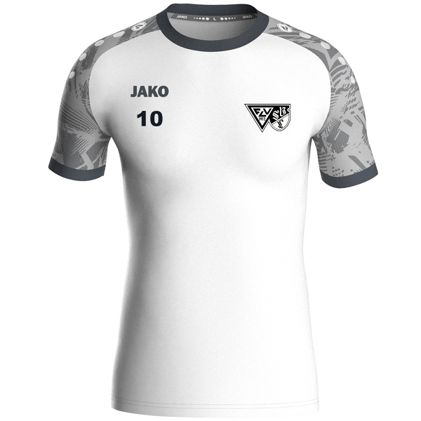 Trikot Iconic kurzarm 