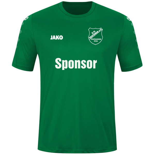 Trikot Team kurzarm 