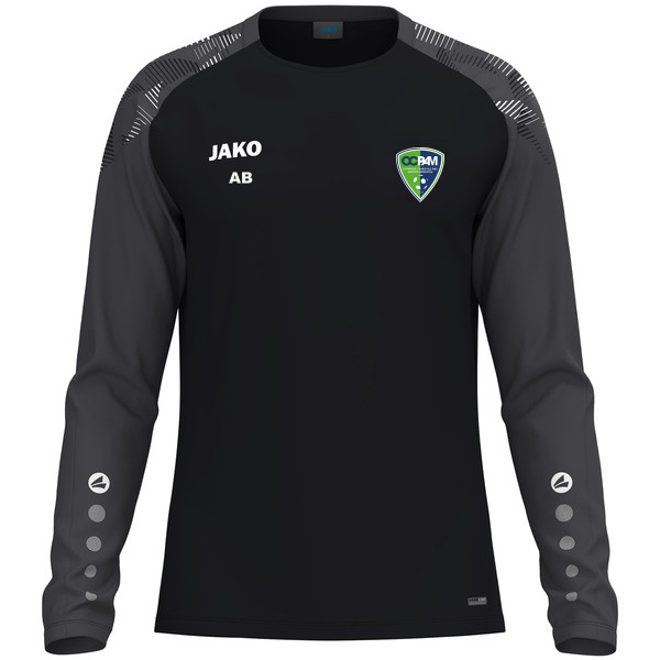 Maillot Sonic ML 
