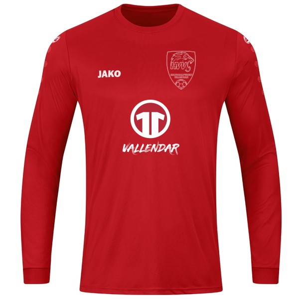 Trikot Team langarm 