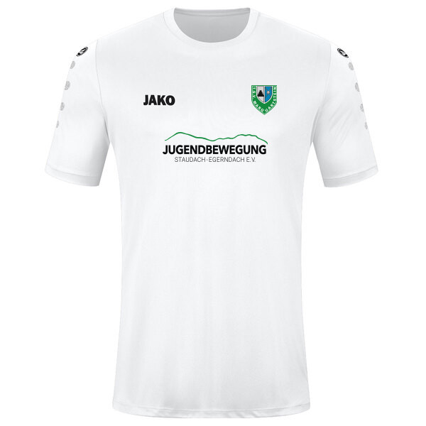 Trikot Team kurzarm 