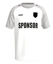 Sportart Fußball