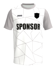 Sportart Fußball