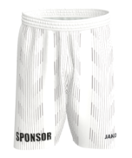 Sportart Fußball