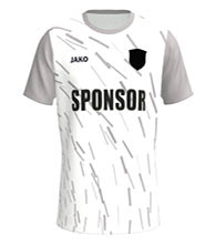 Sportart Fußball